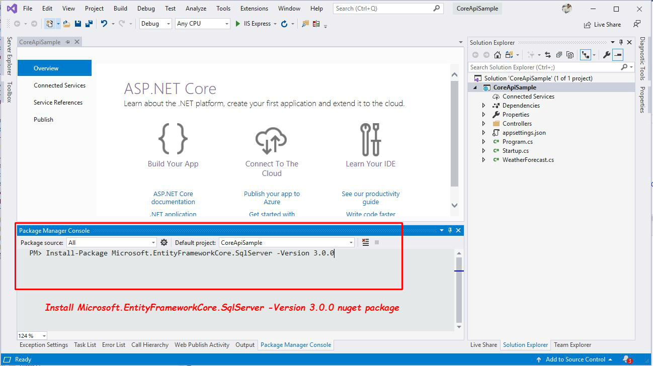 Install-Package Microsoft.EntityFrameworkCore.SqlServer