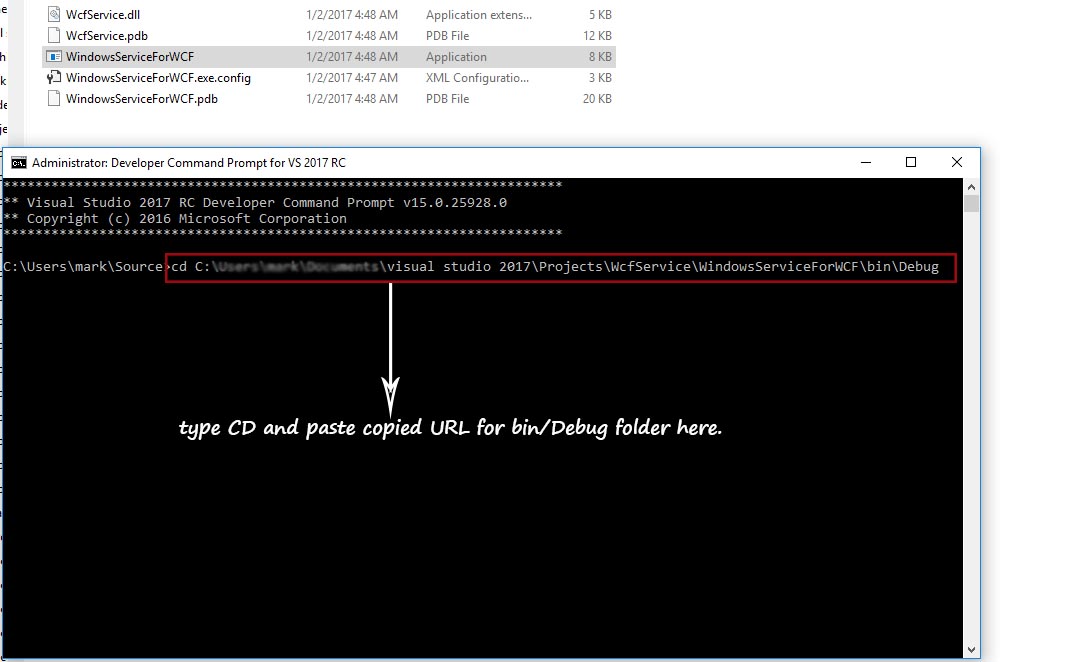 Developer Command Prompt 