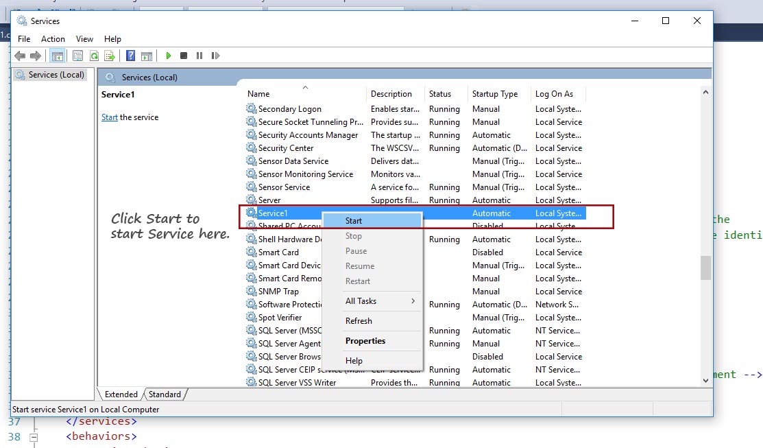 start your windows service